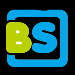 BS TOYS