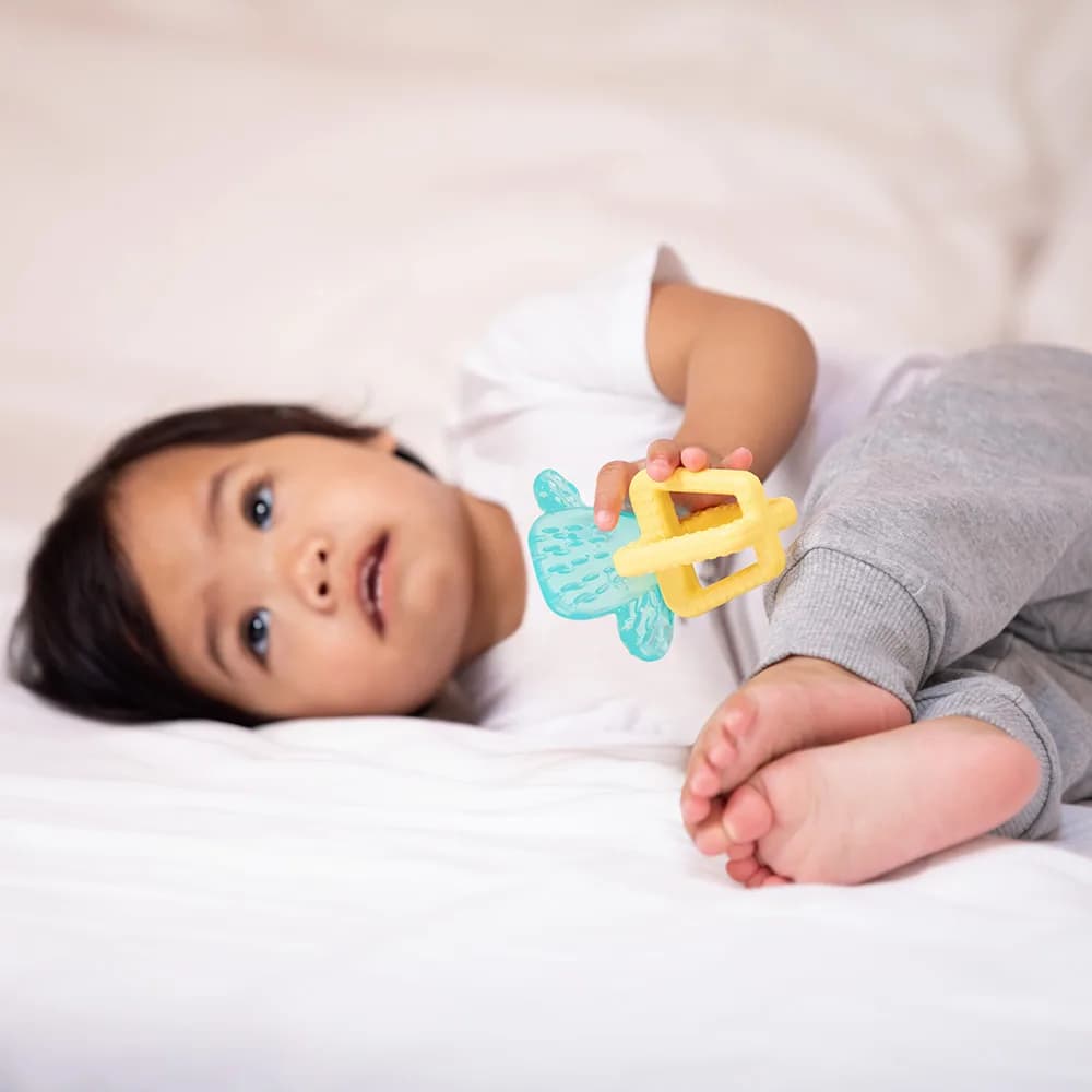 عضاضة صبارة Refreshing 3