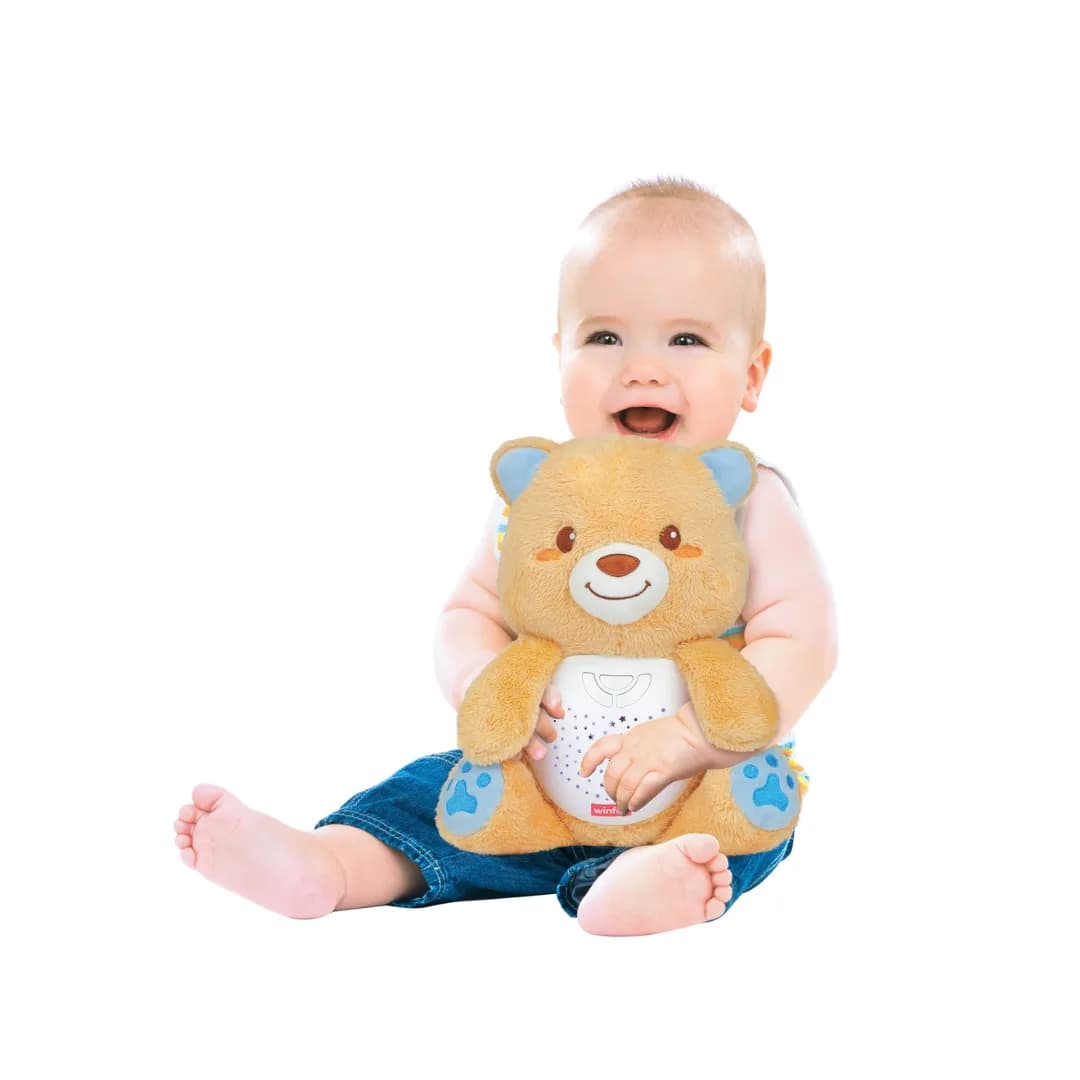 Starry Lights Bear